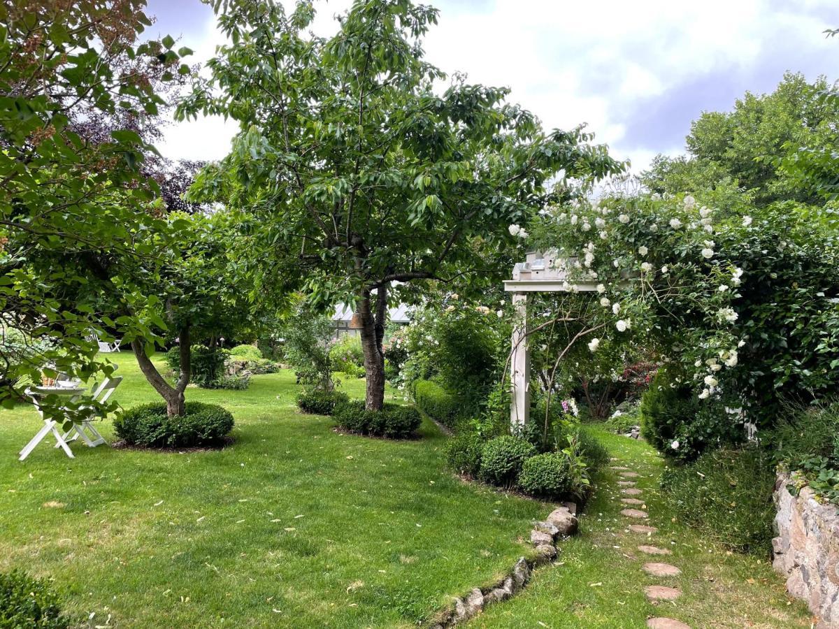 Kleine Ferienwohnungen - Stortebeker Ralswiek Extérieur photo